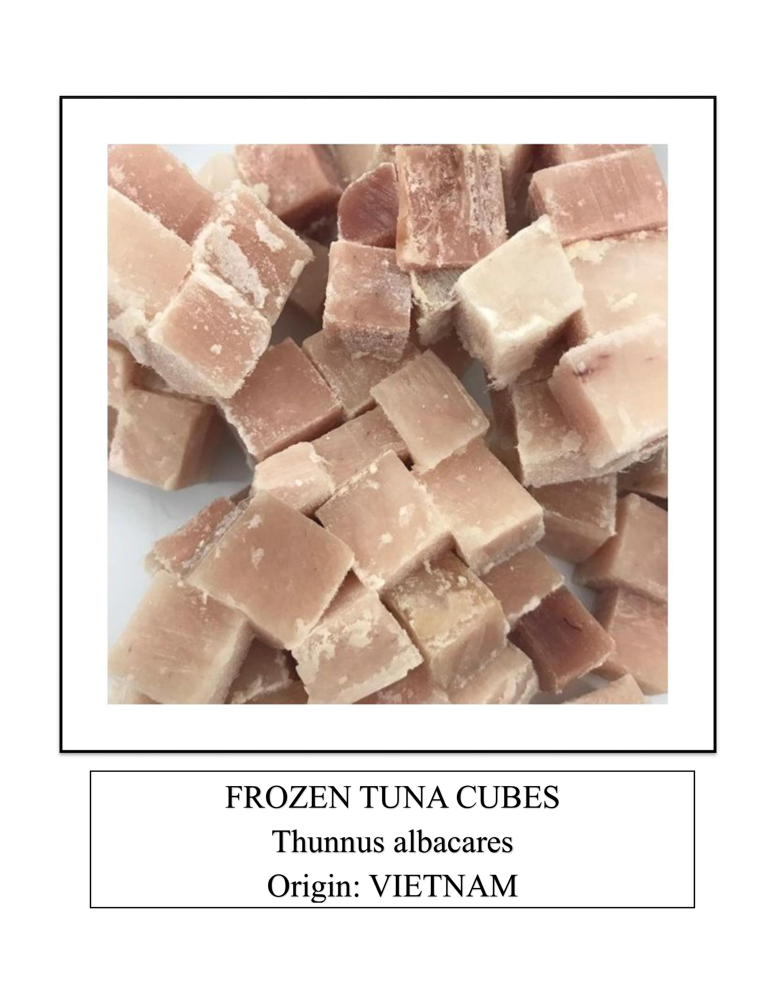 Frozen Tuna Cubes